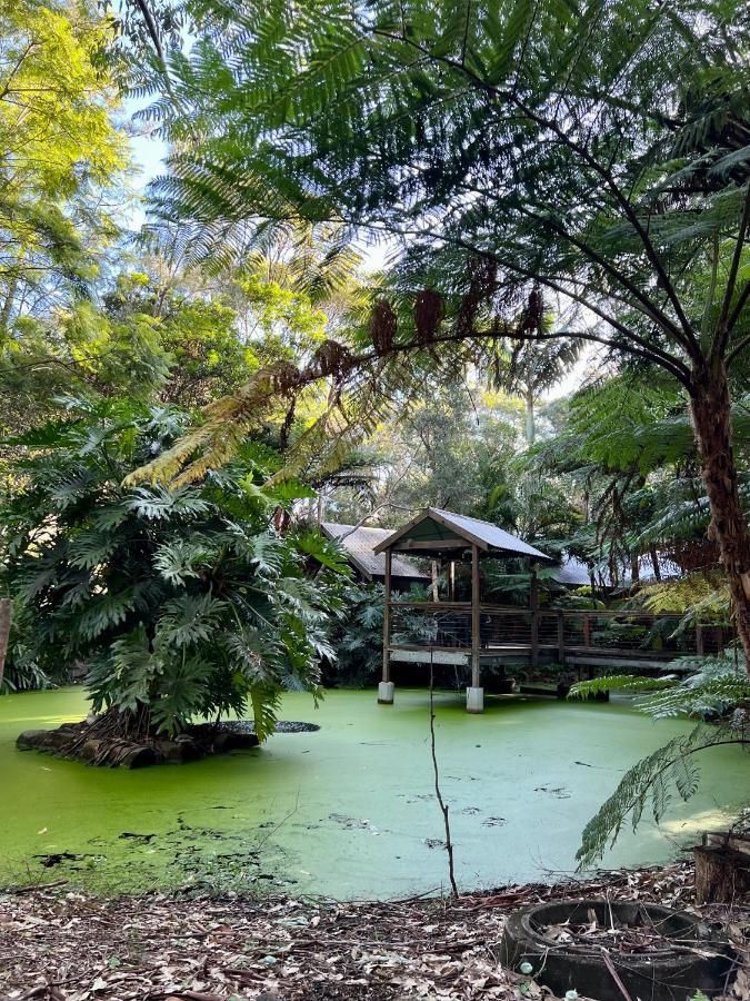 The Oasis At One Mile Beach Nelson Bay Exterior photo