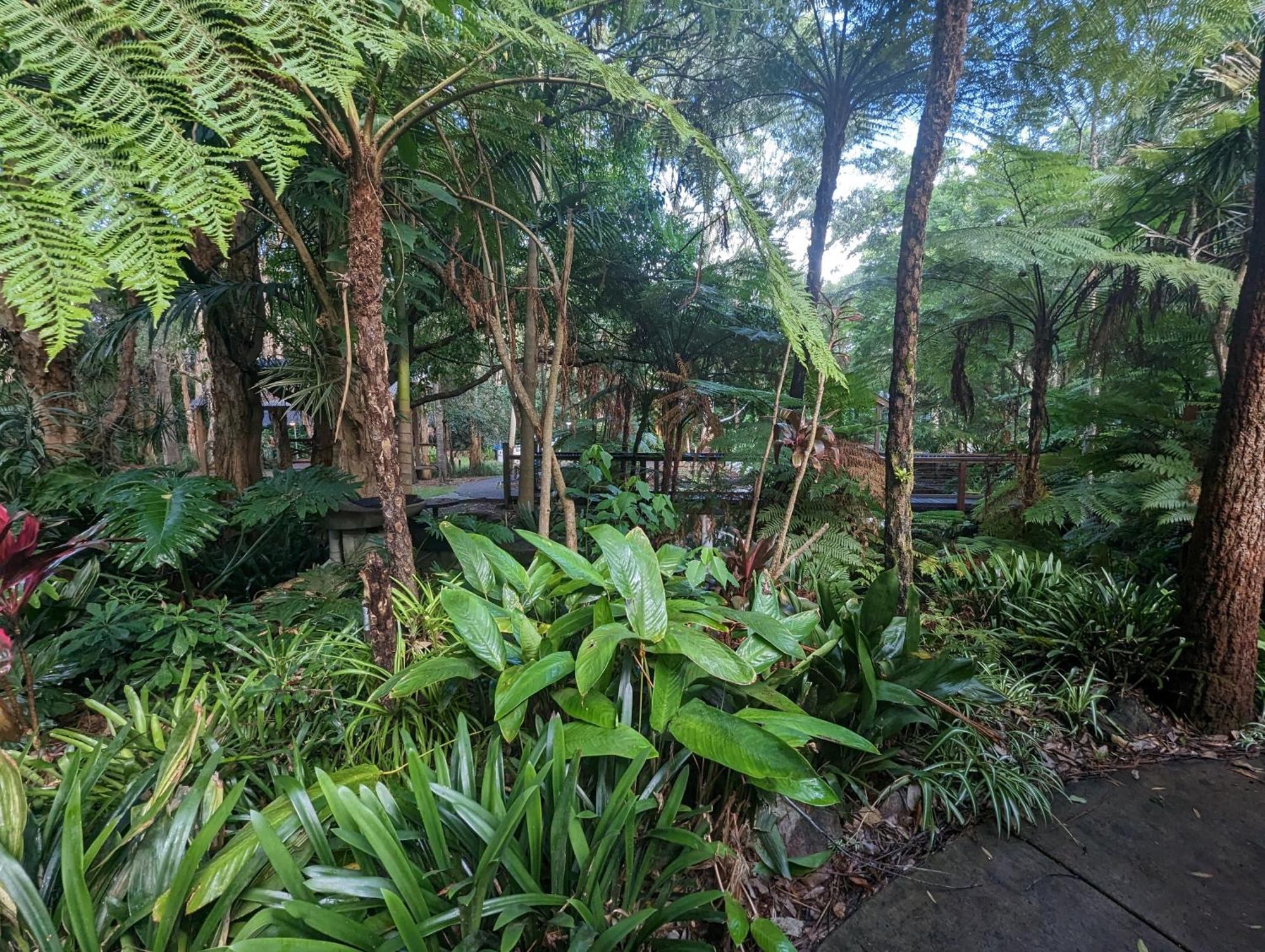 The Oasis At One Mile Beach Nelson Bay Exterior photo