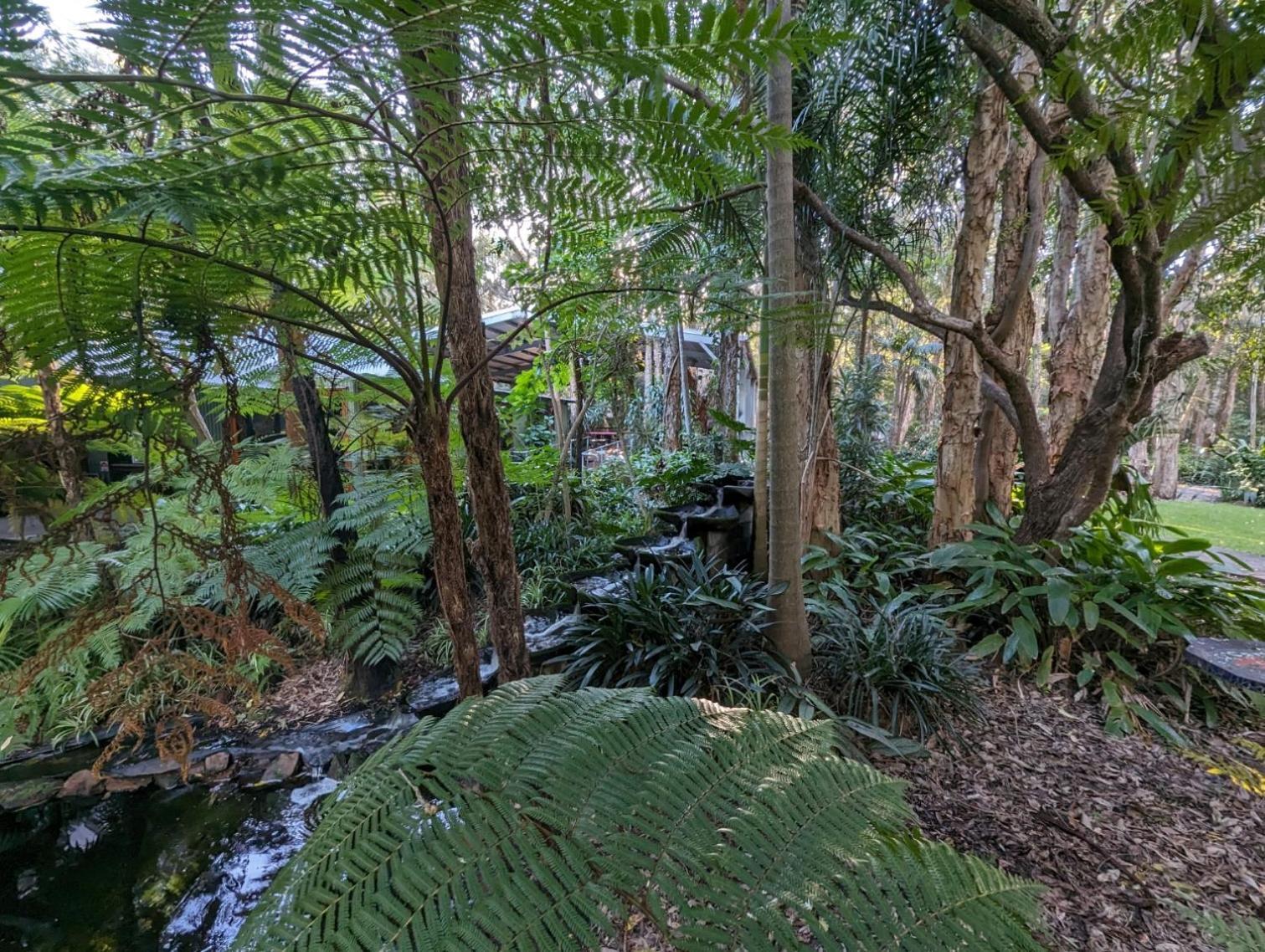 The Oasis At One Mile Beach Nelson Bay Exterior photo